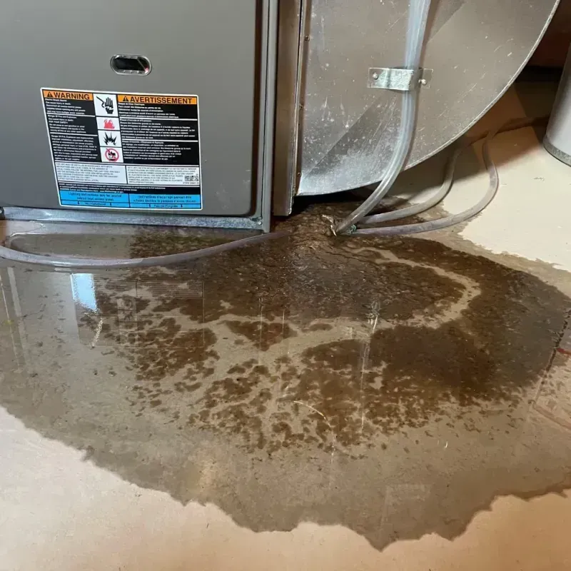 Appliance Leak Cleanup in Hazlehurst, MS